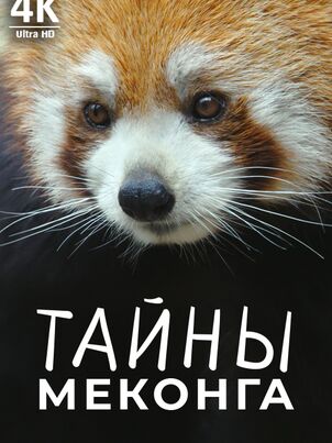 Тайны реки Меконг