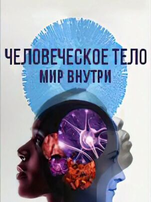 Человеческое тело: мир внутри