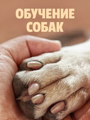 Обучение собак