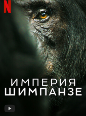 Империя шимпанзе