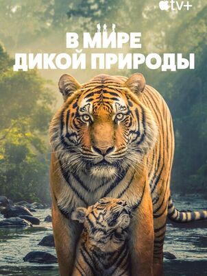 В мире дикой природы
